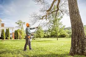 Best Tree Mulching Services  in Bentonville, AR