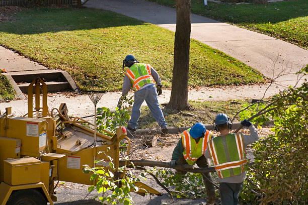 Best Utility Line Clearance  in Bentonville, AR